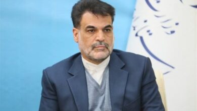 _تخصیص_ _جرائم_ _صنایع_ _به_ _دانش_‌_بنیان_‌_ها_ _توسعه_ _را_ _به_ _همراه_ _دارد_