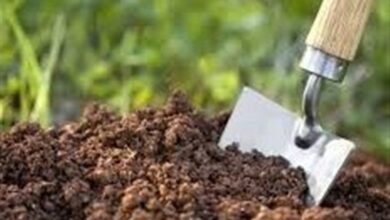 تکمیل مطالعات تفصیلی خاک‌شناسی در اراضی زهدار مغان