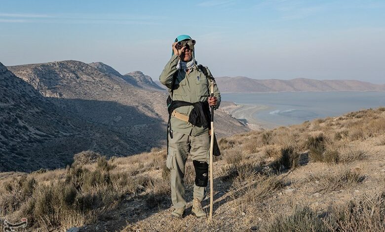 جزئیات سرشماری پستانداران در کردستان/تصرف زیستگاه‌ها