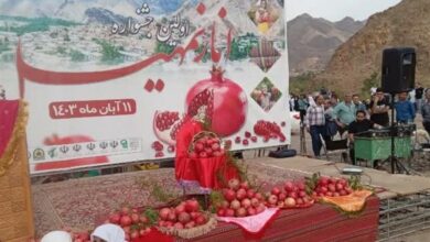 جشنواره انار نمهیل ثبت ملی شد