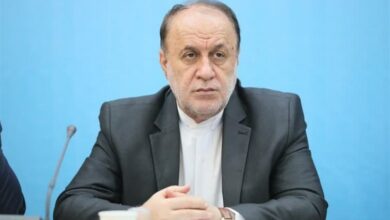 حلقه مفقوده میدان‌داری در سرمایه‌گذاری و تولید پر شد