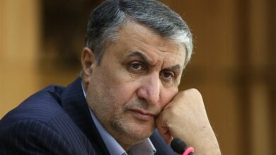 دانشجویان خواستار اقدام قاطع اسلامی نسبت به آژانس اتمی شدند