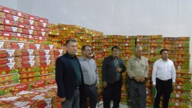 راه‌اندازی 110 واحد فرآوری خرما در بوشهر