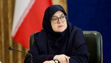 روز جهانی منع خشونت علیه زنان نماد تلاش برای صلح و عدالت است