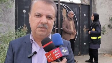 شناسایی 40 درصد بهره‌داران بوشهری در سرشماری کشاورزی