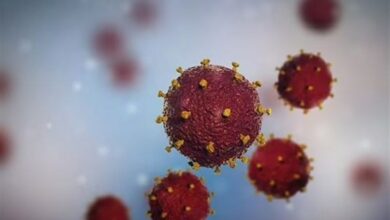 شناسایی مبتلایان به HIV در کردستان/درمان رایگان شد