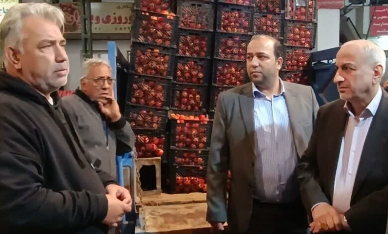 قیمت گوجه فرنگی در گیلان تا آخرهفته به تعادل می‌رسد