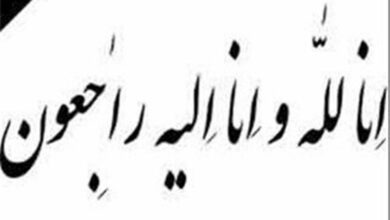مادر شهیدان میران‌زاده به فرزندان شهیدش پیوست