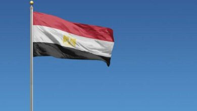 مصر: از نظام حاکم در سوریه حمایت می‌کنیم