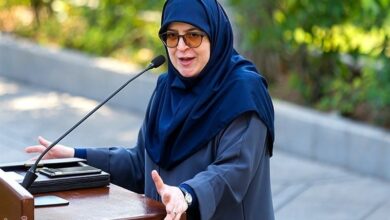 مهاجرانی: مسئله حضور ظریف در دولت در حال پیگیری است
