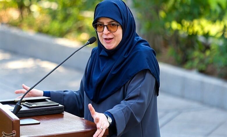 مهاجرانی: مسئله حضور ظریف در دولت در حال پیگیری است