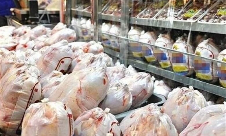 ورودی مرغ به تهران 20 درصد افزایش یافت