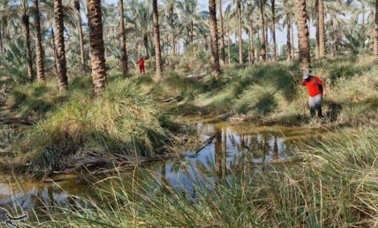 کشف جسد دومین غرقی در کانال آبیاری دشتستان +تصویر