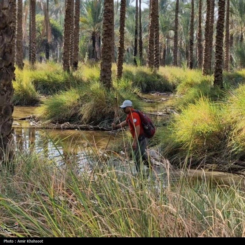 کشف جسد دومین غرقی در کانال آبیاری دشتستان +تصویر