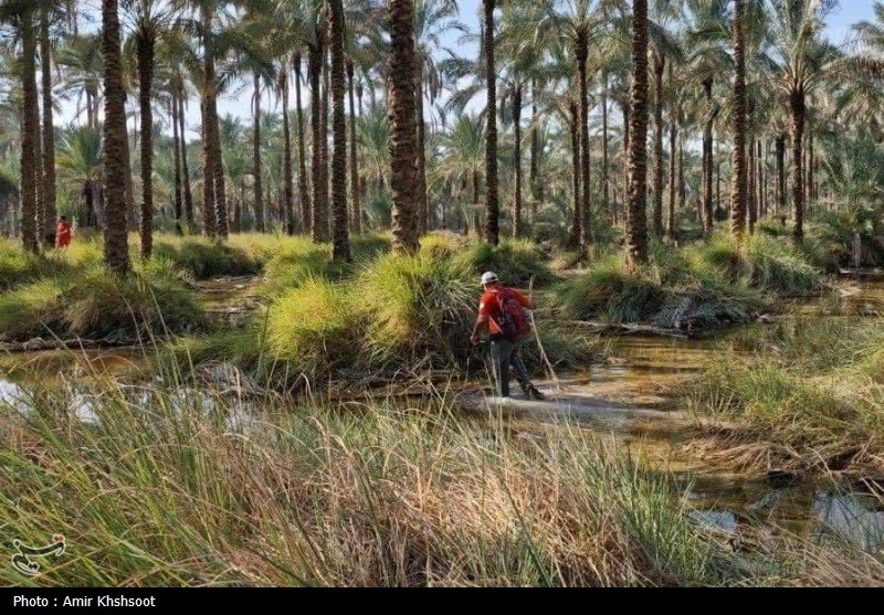 کشف جسد دومین غرقی در کانال آبیاری دشتستان +تصویر