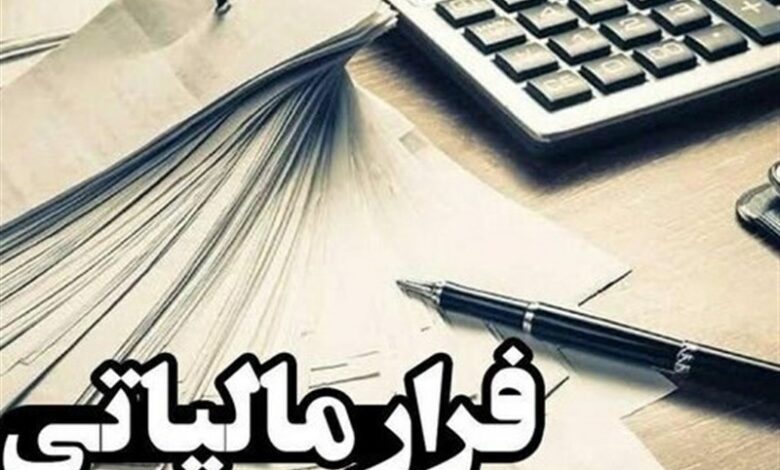 کشف و شناسایی 734 شرکت صوری در کشور