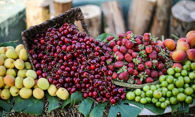 گردشگری حوزه کشاورزی نطنز مغفول مانده است