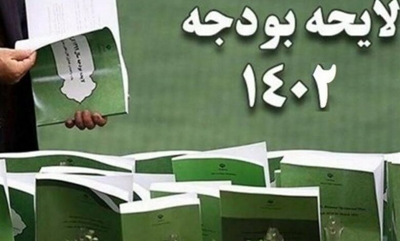 یک سوم از احکام بودجه سال 1402 رعایت نشده است