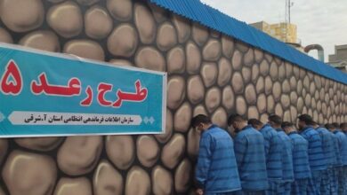14 نفر از اراذل و اوباش در چنگ مأموران قانون