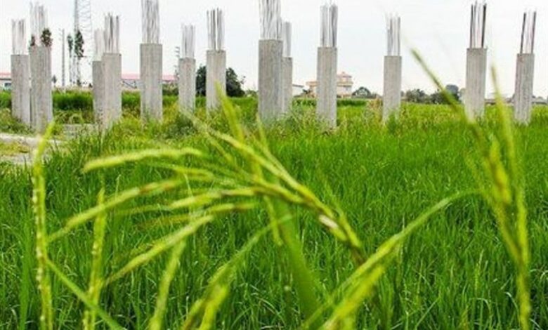 آمار بالای تغییر کاربری غیرمجاز در اراضی کشاورزی قم