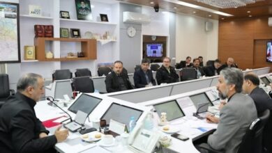 ابطال 391 پروانه معدنی در خراسان جنوبی