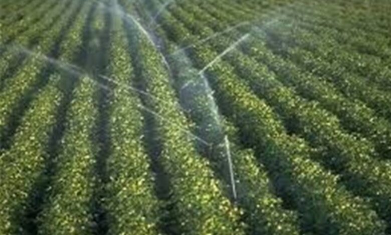 اجرای سامانه گرمسیری سبب آبادانی استان ایلام خواهد شد