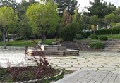 اردبیل به 200 هزار هکتار فضای سبز و نهالکاری جدید نیاز دارد