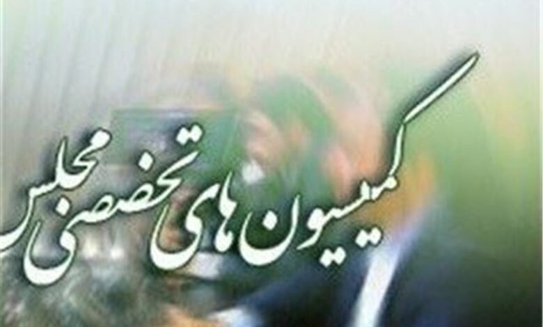 ارز و انرژی؛ محور جلسات کمیسیون‌های مجلس در هفته جاری