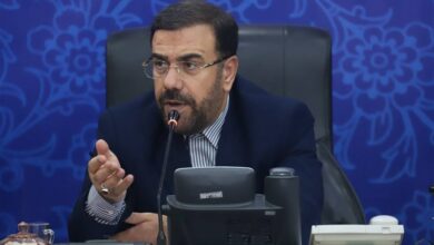 استاندار فارس: سهمیه برق و گاز را بدهید خودمان مدیریت کنیم‌