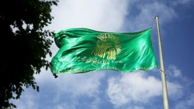 اهتزاز پرچم منقش به نام امام رضا(ع) در بوموسی
