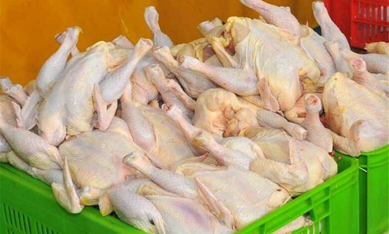 ایلام ظرفیت صادرات مرغ گوشتی مازاد به عراق را دارد