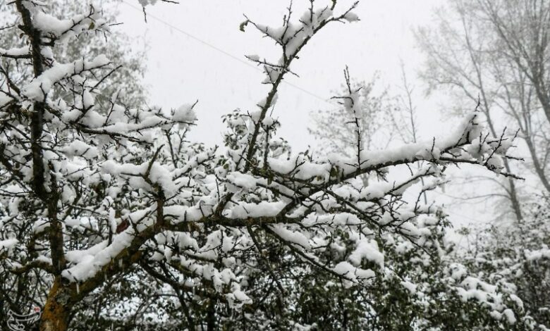 بارش برف البرز را از جمعه فرا می‌گیرد
