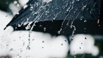 بارش برف و باران در البرز/ روند کاهشی دمای هوا