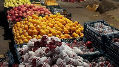 بازار شب یلدای خراسان رضوی زیر ذره بین تعزیرات حکومتی