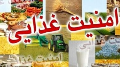 بالا بردن امنیت غذایی مهمترین راه حفظ کشورا ست