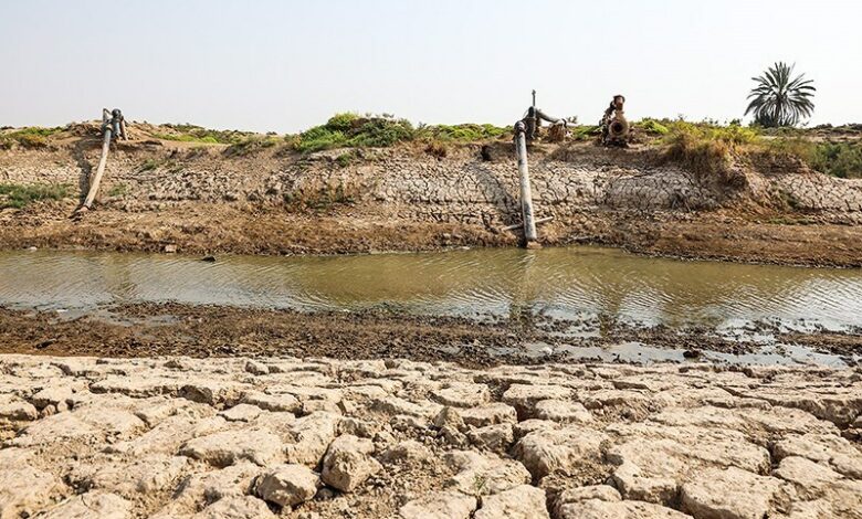 بحران مصرف چاه‌های کشاورزی بادرود/کیفیت آب پایین است