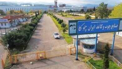 بدهی 220 میلیاردی چوکا‌/ انتقاد از مولدسازی در کارخانه