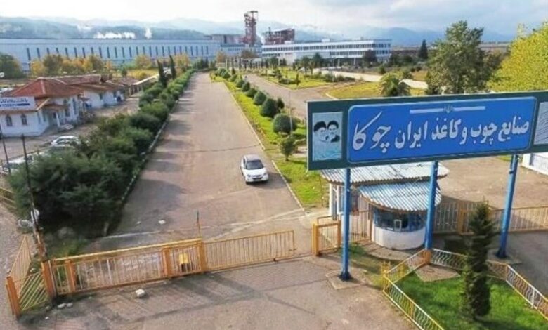 بدهی 220 میلیاردی چوکا‌/ انتقاد از مولدسازی در کارخانه