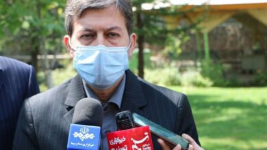 برخی آسیب‌های فرهنگی به حال خود رها شده‌اند