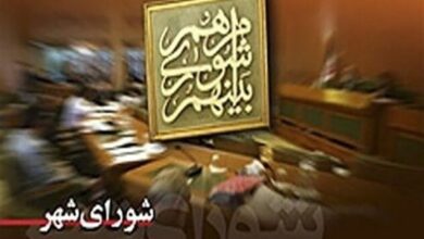 _برگزاری_ _کارگاه_ _مهارت_‌‌_افزایی_ _اعضاء_ _شوراهای_ _چهارمحال_‌_وبختیاری_