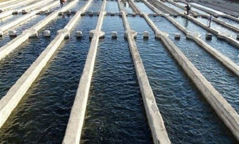 بزرگ‌ترین سایت آبزی‌پروری اردبیل در رکود به سرمی‌برد