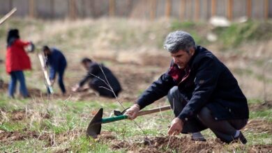 بوستان 50 هکتاری خانواده در جیرفت احداث می‌شود