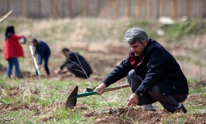 بوستان 50 هکتاری خانواده در جیرفت احداث می‌شود