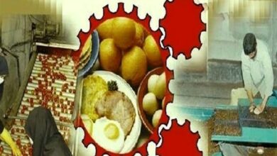 بیکاری افراد تحصیل‌کرده؛ معضلی که باید چاره‌اندیشی شود
