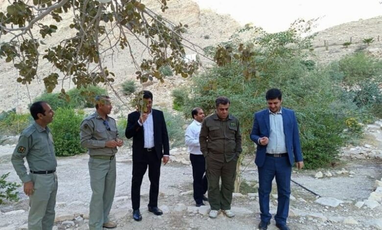 تدوین برنامه مقابله با شکار غیرمجاز در دشتی