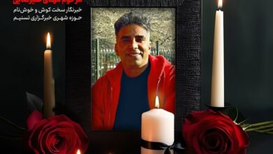‏تسلیت شورای اطلاع‌رسانی دولت برای درگذشت مهدی علیرضایی