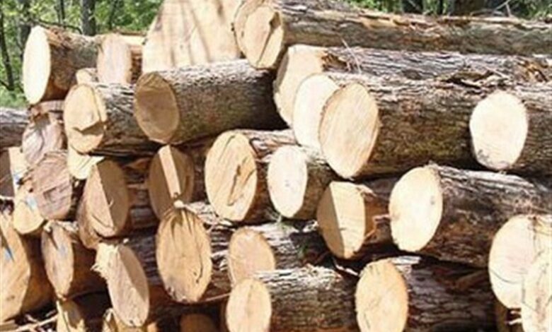 توقف 170 دستگاه خودرو حامل چوب قاچاق در بابل