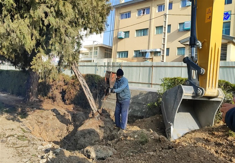 جابه‌جایی و قطع درختان بلوار طالقانی شهرکرد قانونی است