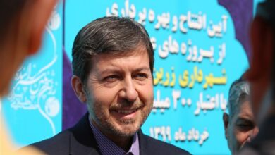 جمالی‌نژاد: فارغ‌التحصیلان بیکارند/ به پویش پزشکیان پیوستم