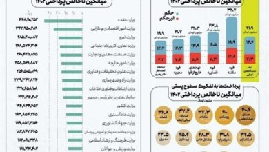 جمع‌آوری اطلاعات کارکنان غیررسمی در سامانه «سایر»